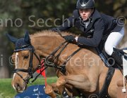 Puschak Boris TosTour 2013- S5 3393 : Arezzo Equestrian Centre, Boris, Puschak Wolfang, Toscana Tour 2013, foto di Stefano Secchi ©