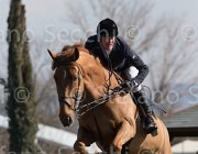 WhitackerW Brilliant TosTour2013- S5 2000 : Arezzo, Arezzo Equestrian Centre, Glenavadra Brilliant, Toscana Tour 2013, Whitacker William, foto di Stefano Secchi ©