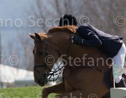 WhitackerW Brilliant TosTour2013- S5 2002 : Arezzo, Arezzo Equestrian Centre, Glenavadra Brilliant, Toscana Tour 2013, Whitacker William, foto di Stefano Secchi ©