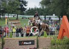 NICHOLSON_NEREO_Weg2014SS7_2333.jpg : Andrew NICHOLSON, Nereo, Stefano Secchi ©, WEG Normandy 2014