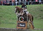 NICHOLSON_NEREO_Weg2014SS7_2358.jpg : Andrew NICHOLSON, Nereo, Stefano Secchi ©, WEG Normandy 2014
