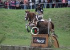 NICHOLSON_NEREO_Weg2014SS7_2359.jpg : Andrew NICHOLSON, Nereo, Stefano Secchi ©, WEG Normandy 2014