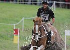 NICHOLSON_NEREO_Weg2014SS7_2375.jpg : Andrew NICHOLSON, Nereo, Stefano Secchi ©, WEG Normandy 2014