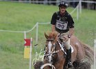 NICHOLSON_NEREO_Weg2014SS7_2376.jpg : Andrew NICHOLSON, Nereo, Stefano Secchi ©, WEG Normandy 2014