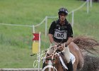 NICHOLSON_NEREO_Weg2014SS7_2378.jpg : Andrew NICHOLSON, Nereo, Stefano Secchi ©, WEG Normandy 2014