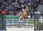 NICHOLSON_NEREO_Weg2014SS7_3695.jpg : Andrew NICHOLSON, Nereo, Stefano Secchi ©, WEG Normandy 2014