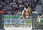 NICHOLSON_NEREO_Weg2014SS7_3697.jpg : Andrew NICHOLSON, Nereo, Stefano Secchi ©, WEG Normandy 2014
