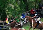 NICHOLSON_NEREO_Weg2014_S4_8828.jpg : Andrew NICHOLSON, Nereo, Stefano Secchi ©, WEG Normandy 2014